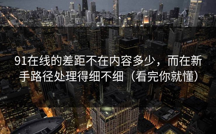 91在线的差距不在内容多少，而在新手路径处理得细不细（看完你就懂）