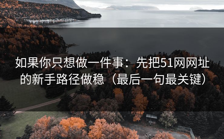 如果你只想做一件事：先把51网网址的新手路径做稳（最后一句最关键）